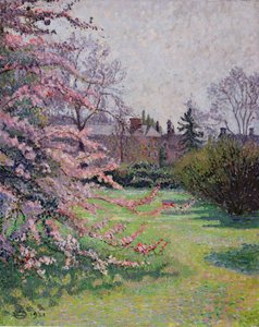 Japanese Crab Apple Blossom, Kew, 1921